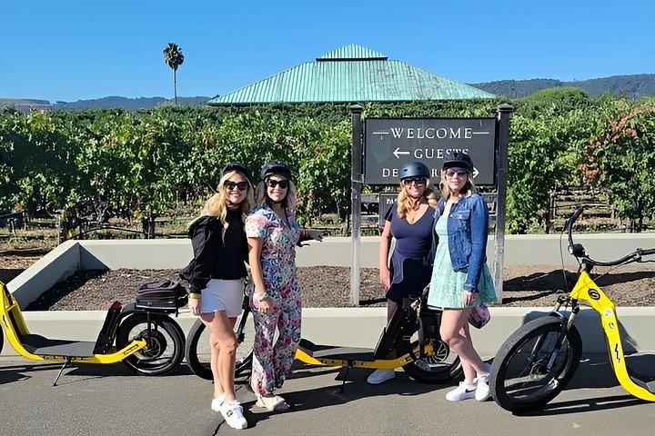 Napa Valley Wine Tasting E Bike Tour