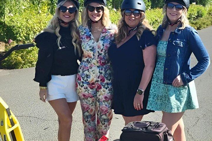 Napa Valley Wine Tasting E Bike Tour