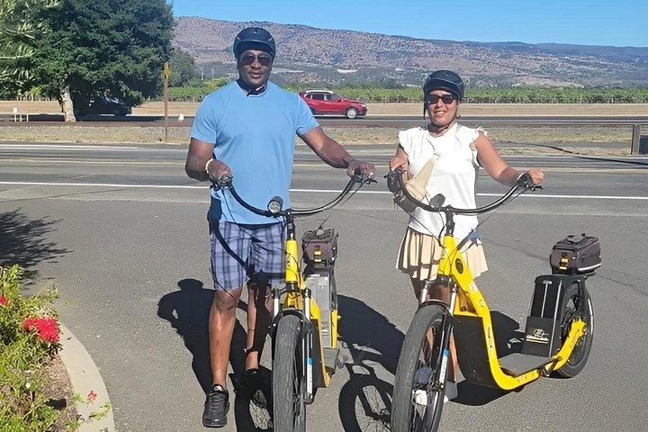 Napa Valley Wine Tasting E Bike Tour
