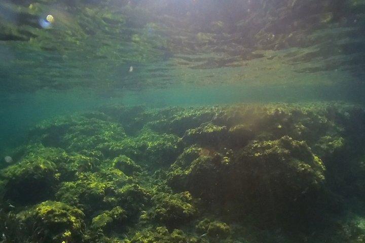 Cap d'Antibes: Scooter, Snorkeling and private Paddle.
