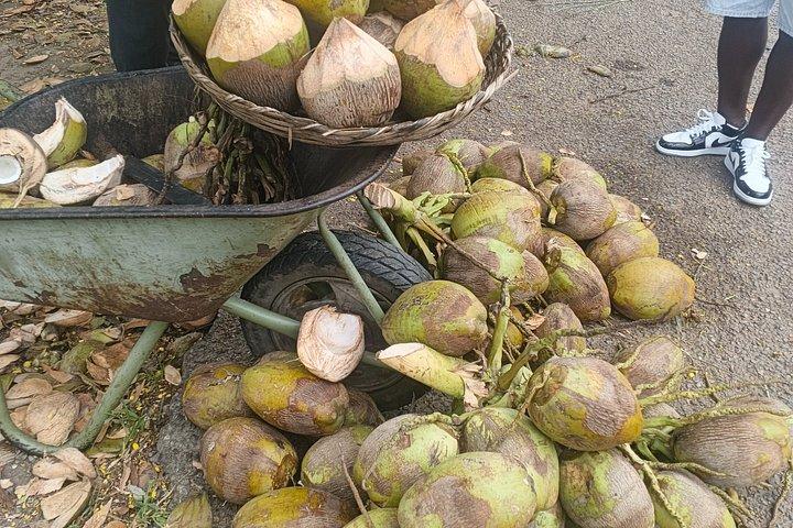 Private Shai Hills To Akosombo Experience