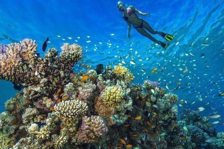 Orange Bay Island Schnorchelkreuzfahrt Hotel Transfers von Hurghada