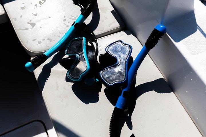 Zadar : Excursion en bateau d'évasion aux 3 îles avec boissons, SUP et plongée en apnée