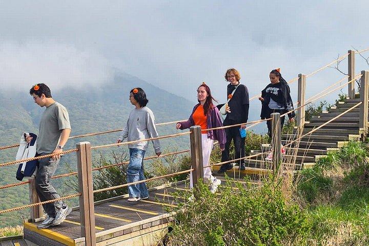 済州自然驚異漢拏山茶園と滝