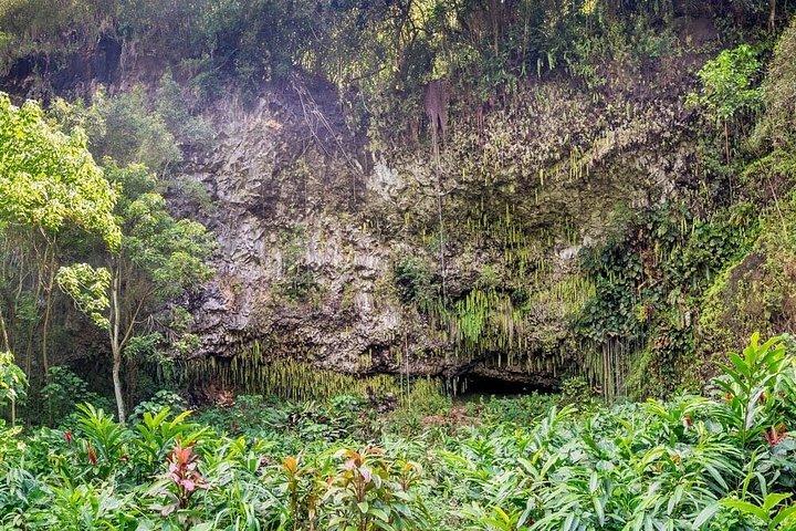 オアフ島からカウアイ島への日帰り旅行:ワイメアタウン&ファーングロット(航空券付き)