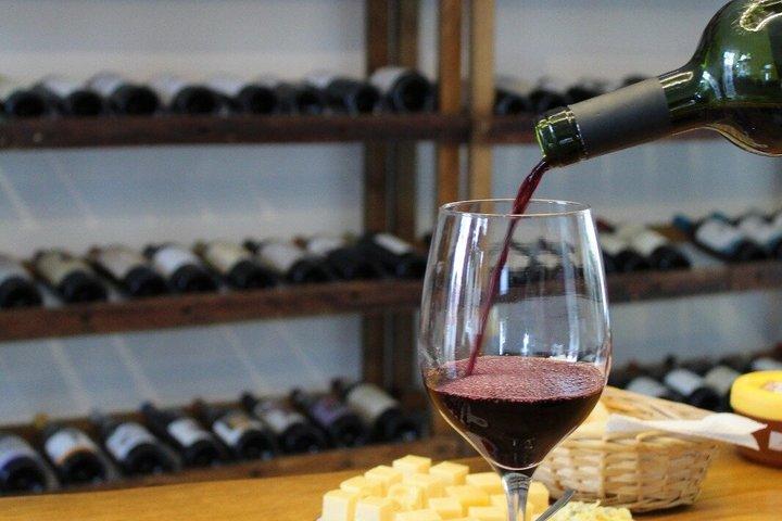 Wine and Cheese Tasting in Colonia del Sacramento