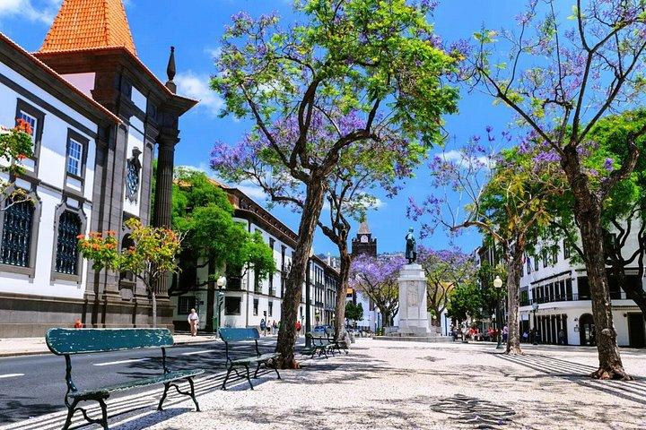 Funchal Walking Tour: History & Culture