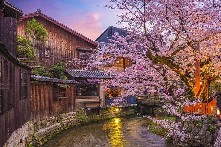 京都芸者街＆隠れ家モーニングツアー