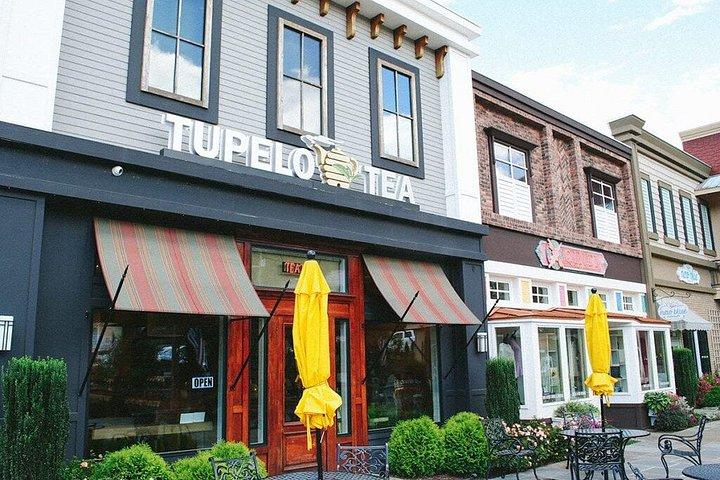 ジョージア州で最も高い滝と風光明媚なブルーリッジ