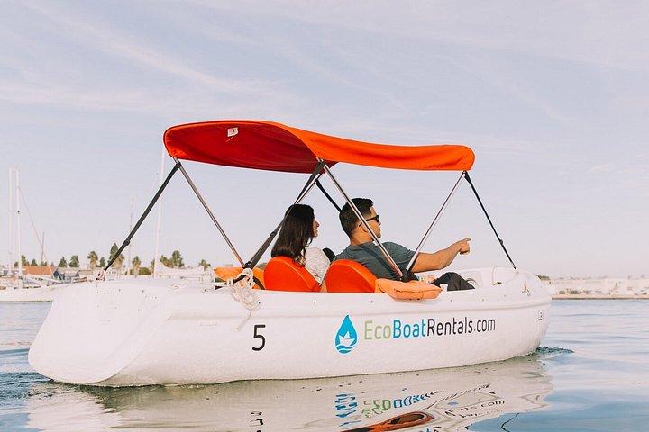 サンディエゴ湾のドッグフレンドリーサンディエゴ電動ボートレンタル