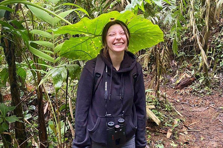 Cali Cloud Forest Birdwatching & Nature Tour at KM18