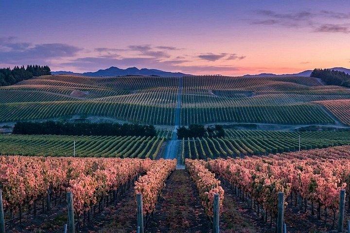 Marlborough Wine Tour: Self-Guided GPS Audio Driving Guide