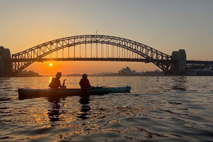 シドニーのサンセット小グループカヤックツアー
