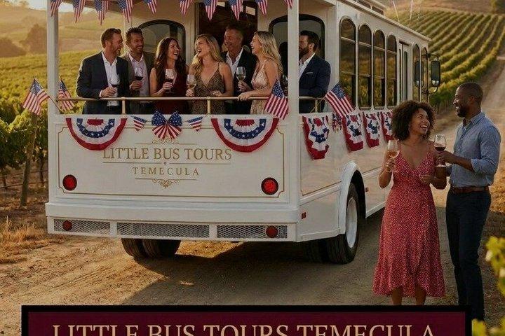 Temecula Wine Tour - 3 wineries & tastings - Awarded Best Tour