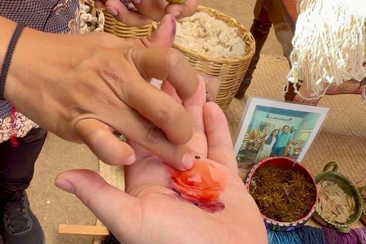 After the footsteps of Nacho Libre in Oaxaca