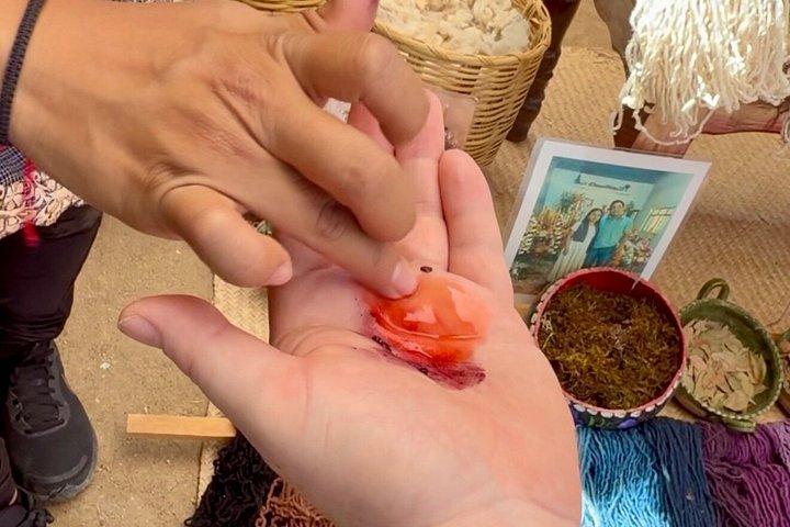 After the footsteps of Nacho Libre in Oaxaca