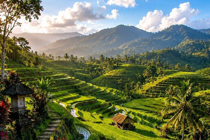 Bali Private Tagestour Passen Sie Ihren eigenen Reiseplan, Reiseroute