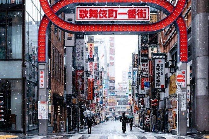 Tokyo Private Full Day Customizable Tour With English Driver