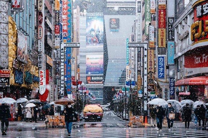 Tokyo Private Full Day Customizable Tour With English Driver