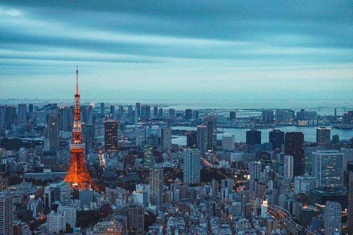Tokyo Private Full Day Customizable Tour With English Driver