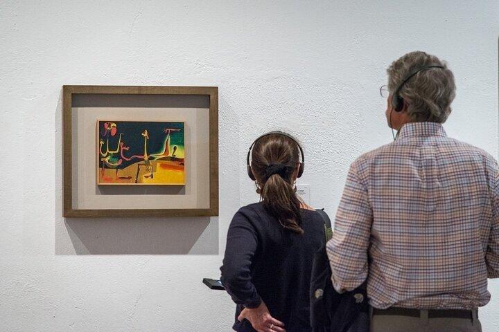 Joan Miró Foundation Contemporary Art Museum Ticket Barcelona