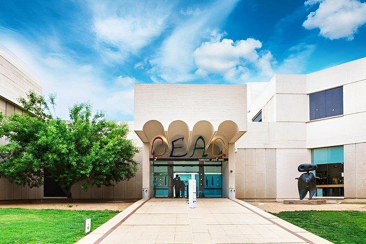 ジョアン・ミロ財団現代美術館チケットバルセロナ