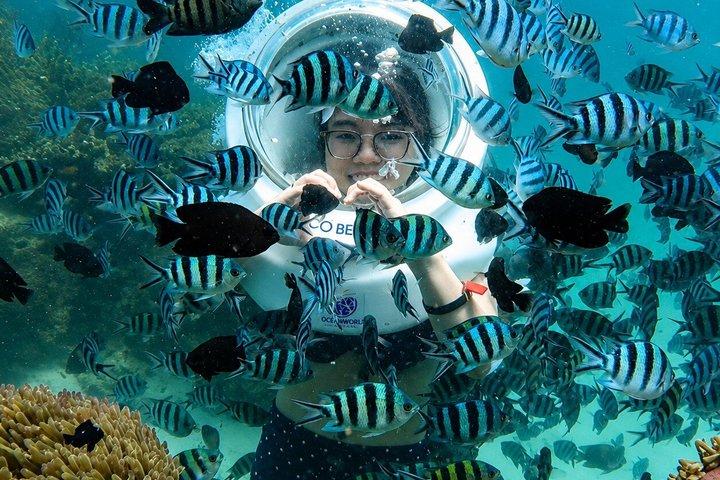 Phu Quoc Sea Walk oder Scuba Dive Sun World Hon Thom - Best Value