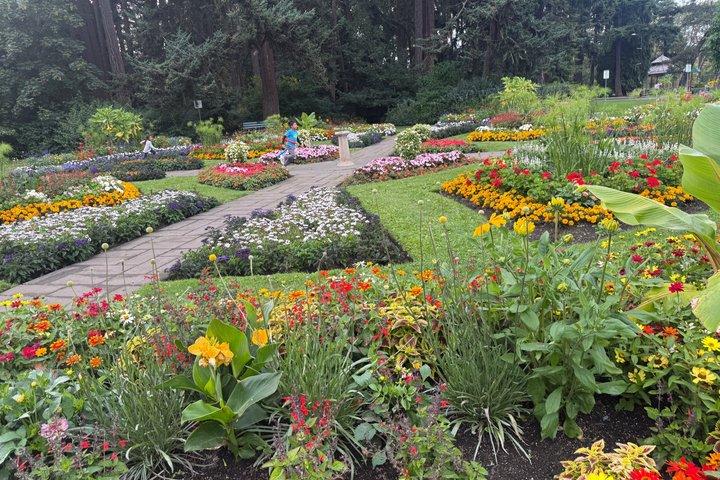 Visite privée privée du pédicab en vedette à Victoria