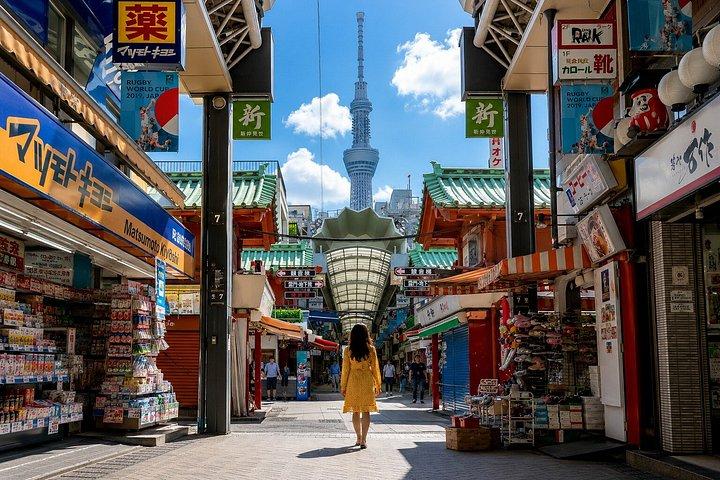 大阪 5時間プライベート市内ツアー（英語ドライバーガイド付き）