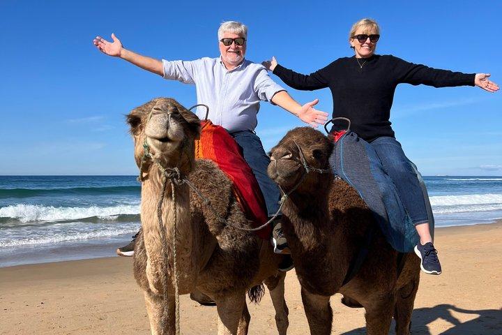 Excursion Tanger Shore sur mesure pour les croisiéristes