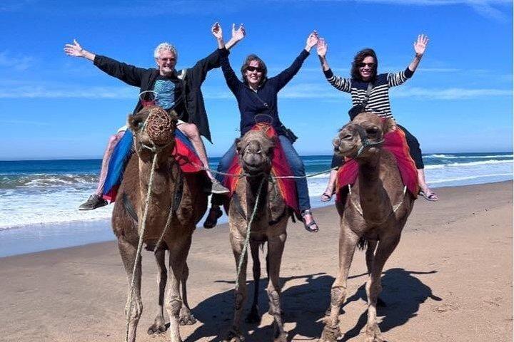 Excursion Tanger Shore sur mesure pour les croisiéristes