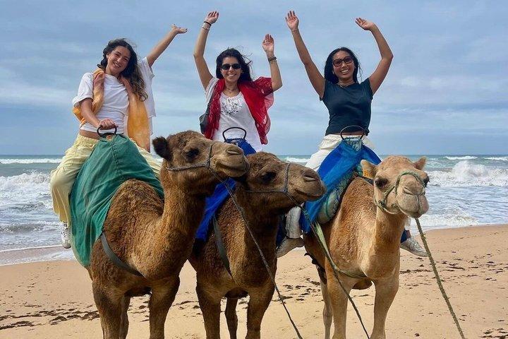 Excursion Tanger Shore sur mesure pour les croisiéristes