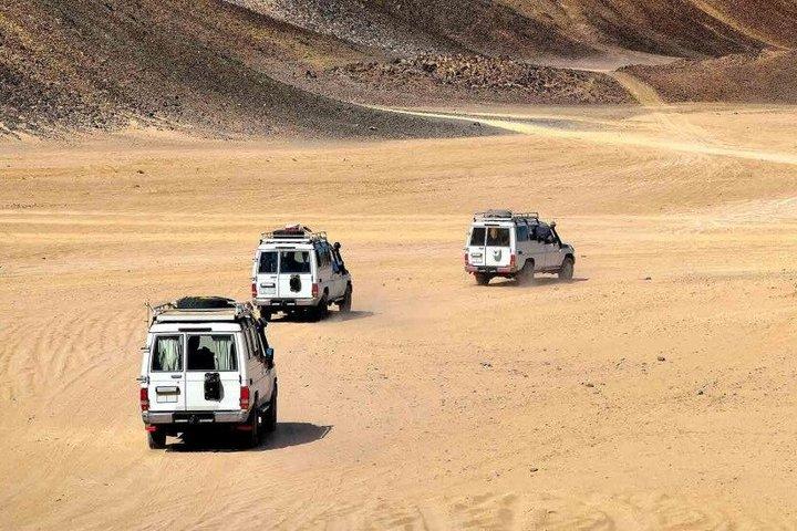 Safari en jeep con paseo en camello y cena beduina