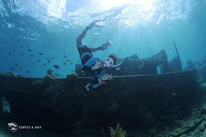 Guided Snorkeling Adventure in Curaçao
