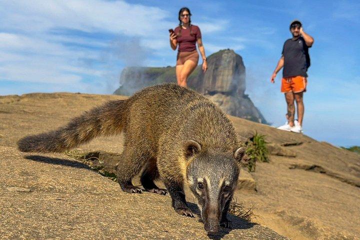 ペドラ・ボニタ：リオの最高の景色、自然とアドベンチャー
