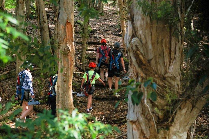 Koloa Zipline auf Kauai