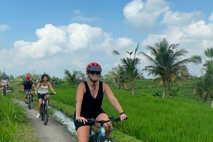テガララン ライステラスへのウブド eBike ツアー