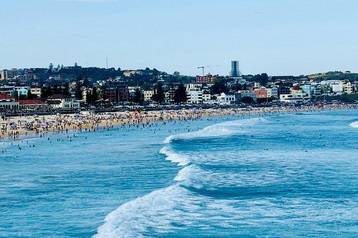 Sydney Private Half Day Tour Experience