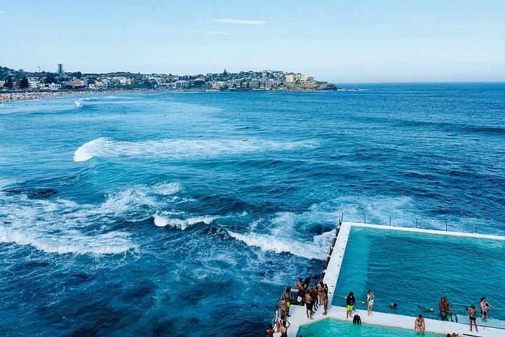 Sydney Private Half Day Tour Experience