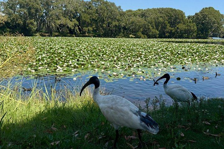 Sydney Private Half Day Tour Experience