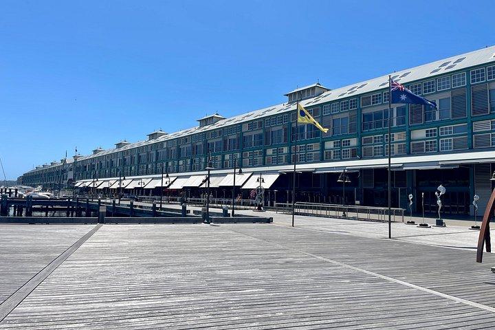 Sydney Private Half Day Tour Experience