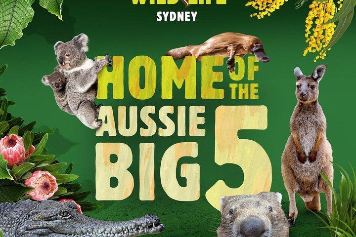 Billet til Sydney Zoo