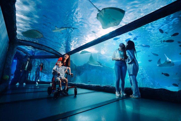 SEA LIFE Sydney Aquarium Ticket