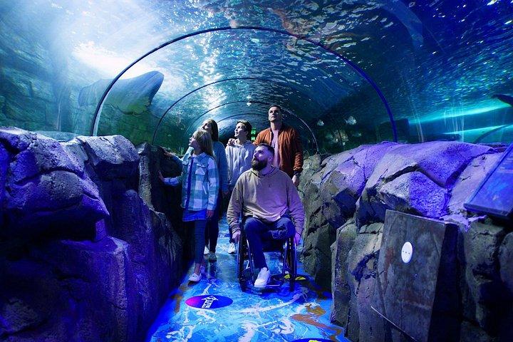 Bilhete para o Sydney Aquarium