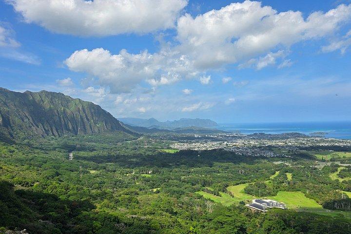 Private Oahu Custom Tour by Sprinter Van | Up to 10 Guests