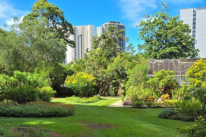 Private Oahu Custom Tour by Sprinter Van | Up to 10 Guests