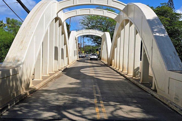 Private Oahu Custom Tour by Sprinter Van | Up to 10 Guests
