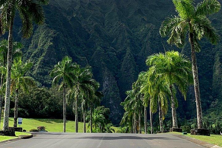 Private Oahu Custom Tour by Sprinter Van | Up to 10 Guests