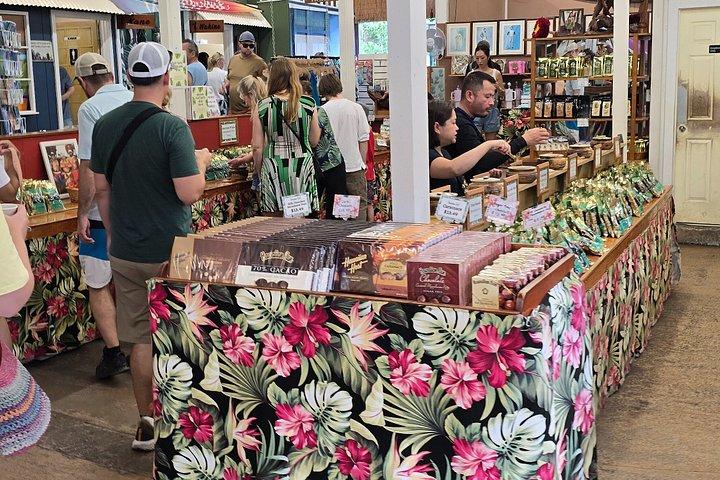 Private Oahu Custom Tour by Sprinter Van | Up to 10 Guests