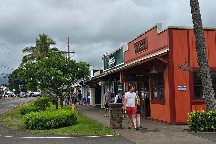 Private Oahu Custom Tour by Sprinter Van | Up to 10 Guests